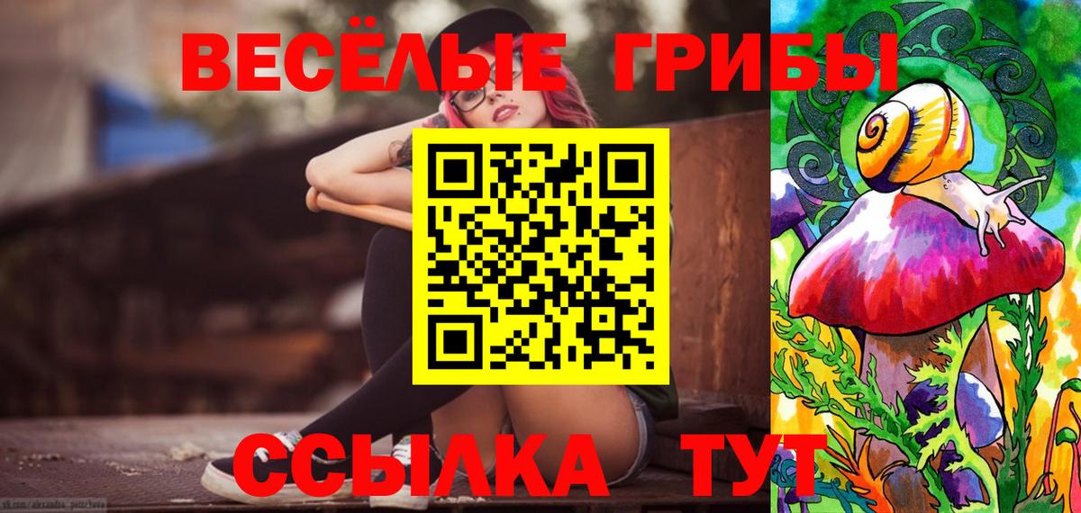цена   Вход с VPN  Псилоцибиновые грибы ЛСД  Кулебаки  Псилоцибиновые грибы прущие грибы 